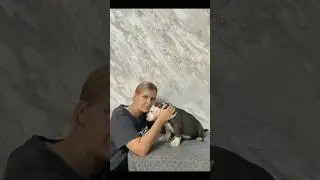 Домой!💔Будь самым счастливым малыш, Каспер едет домой❤️#питомниксобак