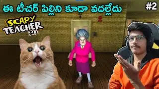 I Saved A Cat From EVIL TEACHER | Free The Cat | Scary Teacher 3D | THE COSMIC BOY