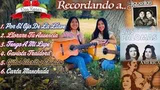 MIX Dueto Dos Rosas 