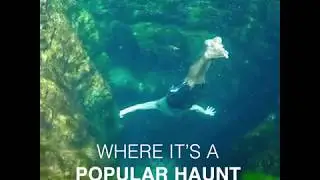 This swimming pool is a bottomless hole!