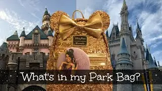 What's in my Disney Parks Bag?