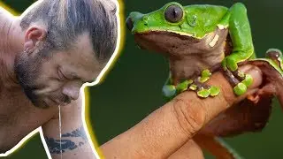 OS 10 ANIMAIS MAIS TÓXICOS DO PLANETA! | RICHARD RASMUSSEN