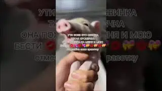 ❤️❤️❤️Моя Красотка🥰🥰🥰