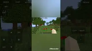 Пробую PoJav с модом