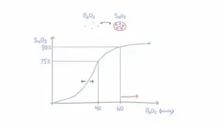 Oxygen hemoglobin dissociation curve