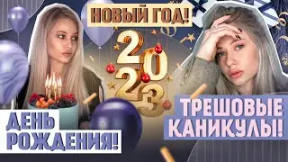 НОВЫЙ ГОД! МОЙ ДЕНЬ РОЖДЕНИЯ! ЗАГОРОДНЫЙ ОТЕЛЬ, ОТИТ И БЕРЕМЕННОСТЬ / ЛИНОЧКА