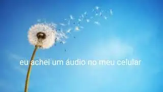 vídeo_aleatório.mp4