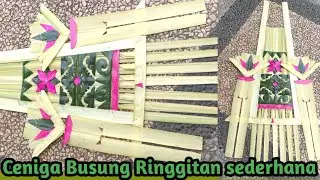 Membuat Ceniga Busung dengan Retinggitan Ron