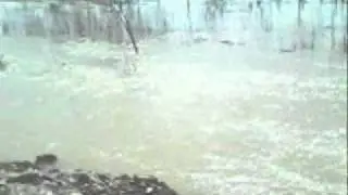 arkadaşlar