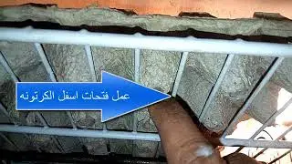 فقاسة  بالميكروويف 