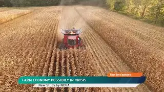 Is the Farm Economy on the Brink of a Crisis or Already There?
