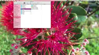How to Backup iMovie Library
