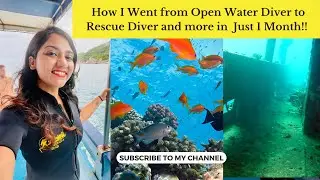 Zero to Hero Diving Course Review: Is it the Best Diving Course for Beginners?
