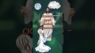 7 сентября 2024 г.