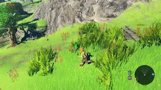 CEMU | Grabado con GeForce
