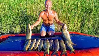 Fishing 2022. Carp on every cast! The American casting network is in business! Fishing on the cover.