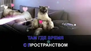 Песня кота - КАРАОКЕ