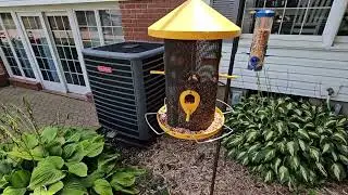August Garden Tour