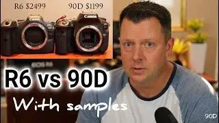 Canon R6 vs Canon 90D with Samples