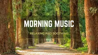 Relaxing Music - Morning Music - No Ads