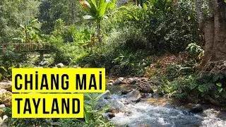 Chiang Mai - Tayland'da Gezilecek Yerler: GEZİMANYA CHİANG MAİ