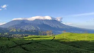 Gunung Luhur Smart Camp Cisarua Puncak Bogor Tempat Camping Keluarga Murah Di Bogor