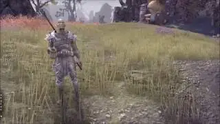 ESO LIVE  Goblin Polymorph Quest