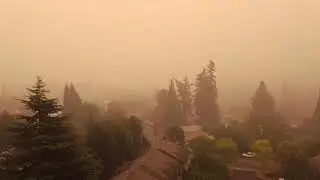 Америка горит, Орегон