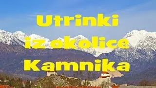 Utrinki iz okolice Kamnika