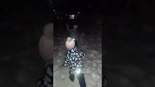 близняшки