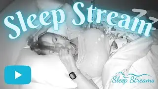 live ASMR Sleep/Snore Stream with Puppies