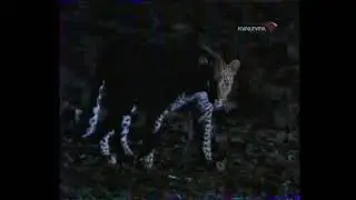 "Наедине с природой", 17-я серия. "Ночь леопарда" (Культура, 10.02.2004)