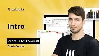 Power BI How To | Welcome to the Zebra BI Crash Course!