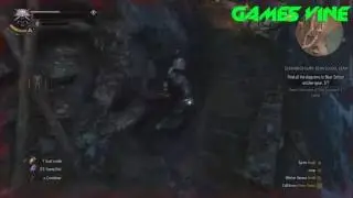 Когда немного сломал ножки (The Witcher 3) | Games Vine