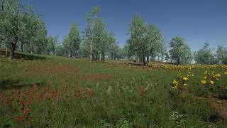 Meadow Environment - new Presets for MicroVerse