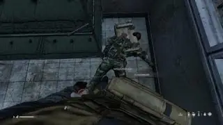 DayZ nonrp