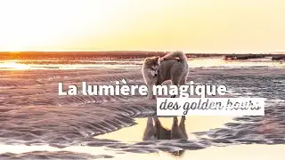Utiliser les golden hours en photographiegolden hour 1