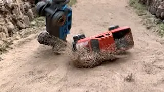 Welcome to Crash Canyon!