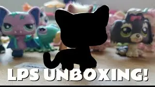 LPS: UNBOXING!!! Small lps haul || (birthday present)
