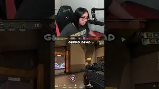 MEL 4K