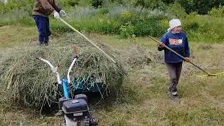 Сенокос в деревне