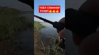 Жерех жрёт эту приманку.Рыбалка👍👍👍 #shorts #fishing #рыбалка