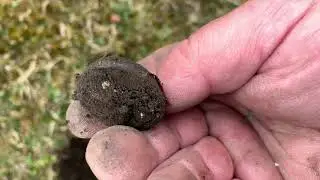 ЧТО СКРЫВАЛОСЬ В ЯМЕ ПОД КОРНЯМИ