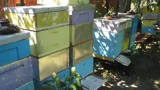 Ульи из пенополистирола