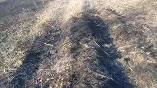 Пожар, горит поле, чуть до леса не достало