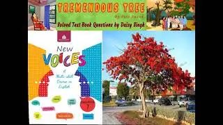 Tremendous Tree Solved Questions