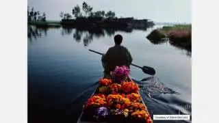 LANGUAGE & REVOLUTION - Farhana Qazi