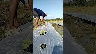 SEBELUM TURUN NGOPI DULU 😁 