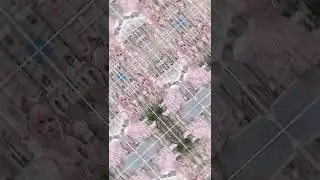 jedak jeduk