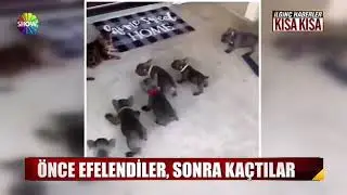 İlginçler